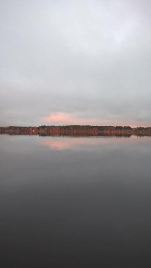 Guest House Haapaniemen Hirsikartano Iisalmi Eksteriør billede