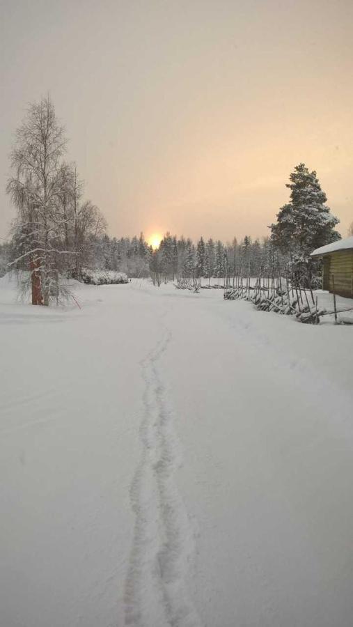 Guest House Haapaniemen Hirsikartano Iisalmi Eksteriør billede